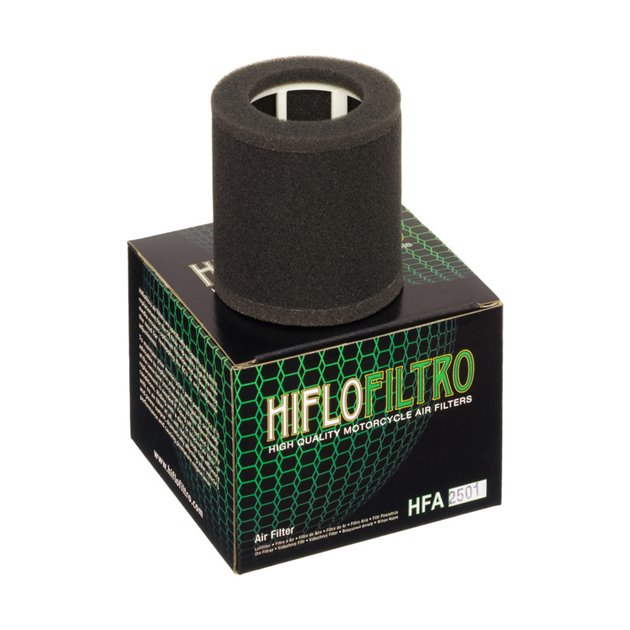 Filtr Powietrza KAWASAKI EN500(A1-A4) A/B 90-96 (30) (12-92530) (K2133) HifloFiltro