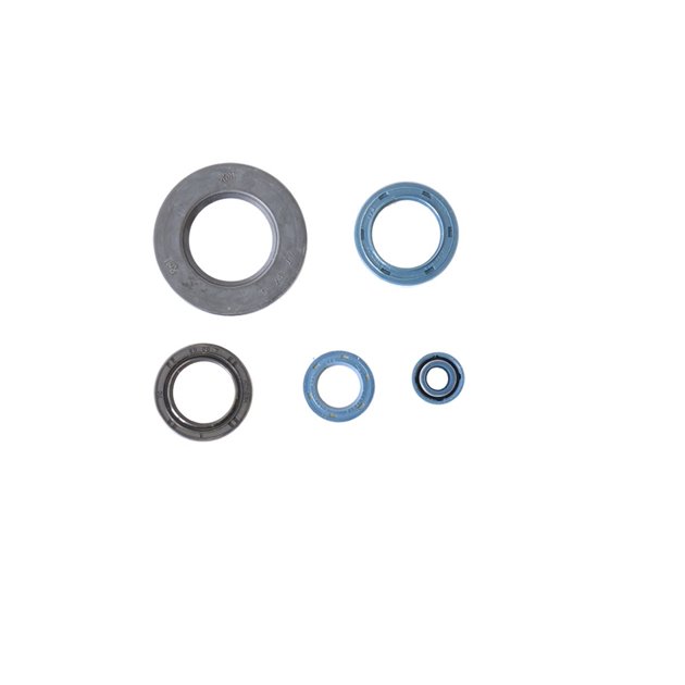 Komplet zestaw uszczelniaczy silnikowych Honda CB 250 Athena | P400210400261
