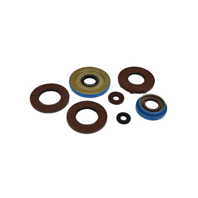 WINDEROSA (VERTEX) KOMPLET (ZESTAW) USZCZELNIACZY SILNIKOWYCH POLARIS SPORTSMAN 325 ETX EFI 15, RANGER 325 ETX 15-16, HAWKEYE 325 15, ACE 325 14-16