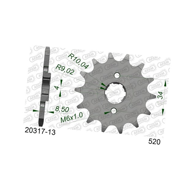 Zębatka przednia 2046 13 Honda CA 125, CB/CBX/CM/CMX 250 Łańcuch 520 AFAM | 20317-13