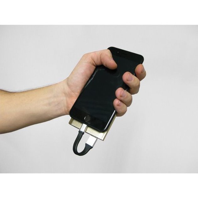 Breloczek z kablem ładowania USB / Lightning 10 cm Lampa | 38919