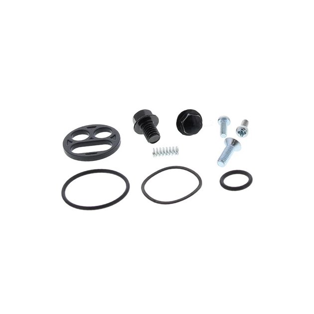 Zestaw naprawczy kranika Kawasaki ZZR600, ZX-6 All Balls | 60-1113