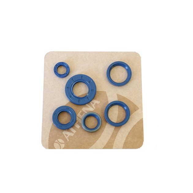 Komplet (zestaw) uszczelniaczy silnikowych Cagiva Elephant 750, Indiana 750, Ducati F1/Paso/Sport 750, Supersport 600/750 Athena | P400090400240