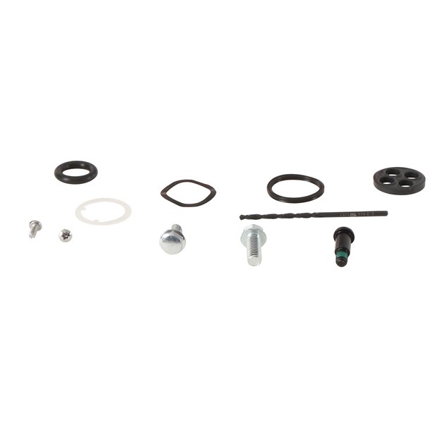 Zestaw naprawczy kranika Honda TRX700XX ALL BALLS | 60-1200