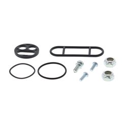 Zestaw naprawczy kranika Arctic Cat 250/300/400/500 ALL BALLS | 60-1030