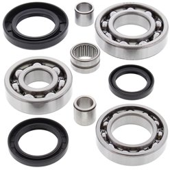 Zestaw naprawczy dyferencjału tylnego Kawasaki KLF 300/400 Bayou ALL BALLS | 25-2020