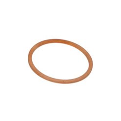 Uszczelka kolektora wydechowego (42 X 49 X 2MM) miedziana BMW, Husqvarna, Sherco Athena | M700142049020