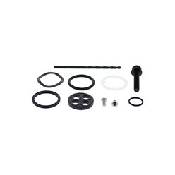 Zestaw naprawczy kranika Honda TRX250X, TRX300 EX ALL BALLS | 60-1208