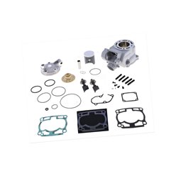 Cylinder kompletny z zaworem wydechowym i głowicą Kawasaki KX 125 54mm STANDARD BORE, 125CCM Athena | P400250100001