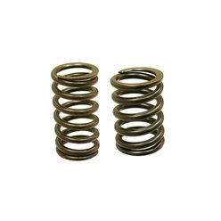 Sprężyna zaworu ssącego/wydechowego KTM 450/520/525, Beta RR 400/450/525 ENDURO Psychic | XU-09549S