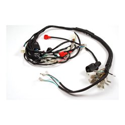 Instalacja elektryczna do motoroweru Ranger Barton Classic