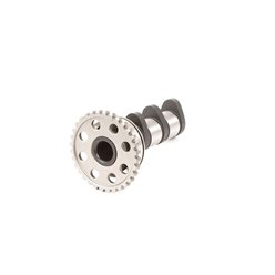 Wałek rozrządu ssący Yamaha YZ 450F Hot Cams | HC 4089-2IN