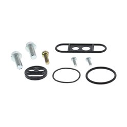 Zestaw naprawczy kranika Yamaha YFM250 Raptor, YFM125 Raptor ALL BALLS | 60-1007
