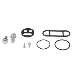 Zestaw naprawczy kranika Kawasaki KLX110, Suzuki DRZ110 All Balls | 60-1092
