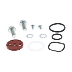 Zestaw naprawczy kranika KTM 620, EGS 620 ALL BALLS | 60-1024