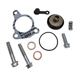 Zestaw naprawczy siłownika sprzęgła KTM 690 ENDURO, Husqvarna 701 ENDURO/SUPERMOTO ProX | 16.950038