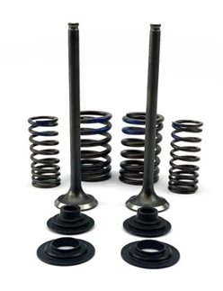 Zestaw zaworów ssących (2 szt.) ze sprężynami i podkładkami Honda CRF 250 F stalowe Psychic | XU-09567IK