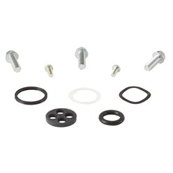 Zestaw naprawczy kranika Honda CRF250R, CRF250X, CRF450X All Balls | 60-1102