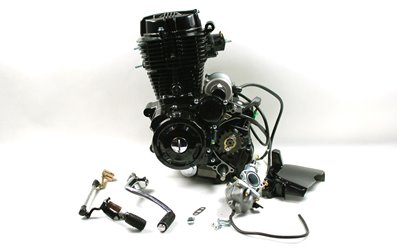 Silnik pionowy 167FMM, 250cm3 4T, 5-biegowy manual, czarny Moretti