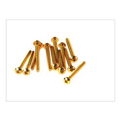 Zestaw śrub owiewki M5x50 (12szt.), złoty Vicma | 1052590