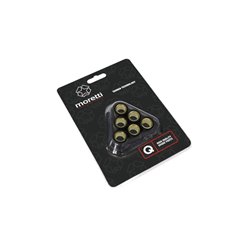 Rolki wariatora (5.5gr) do skutera 2T