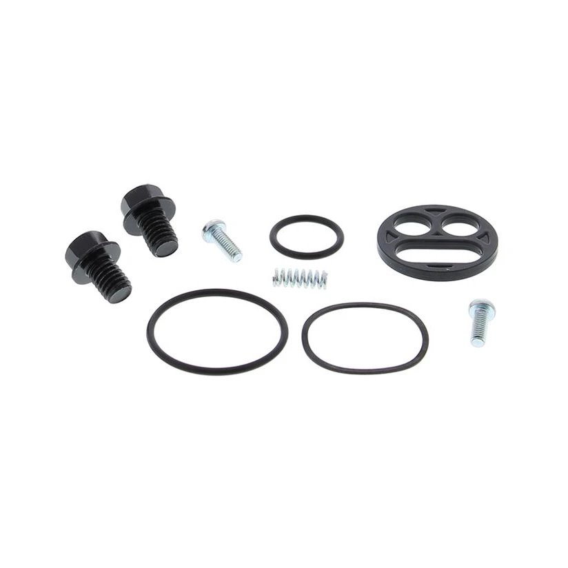 Zestaw naprawczy kranika Kawasaki ZX-6R All Balls | 60-1119