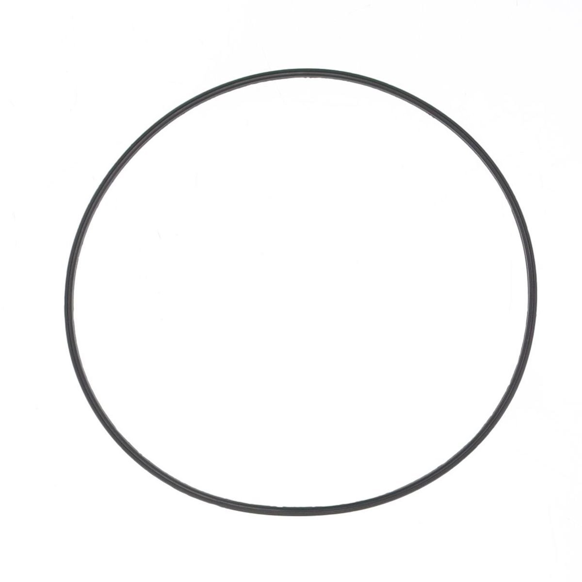 Uszczelka pokrywy sprzęgła KTM SX 50, GAS GAS MC 50, Husqvarna TC 50 O-RING 2,5X113MM Athena | S410270008038
