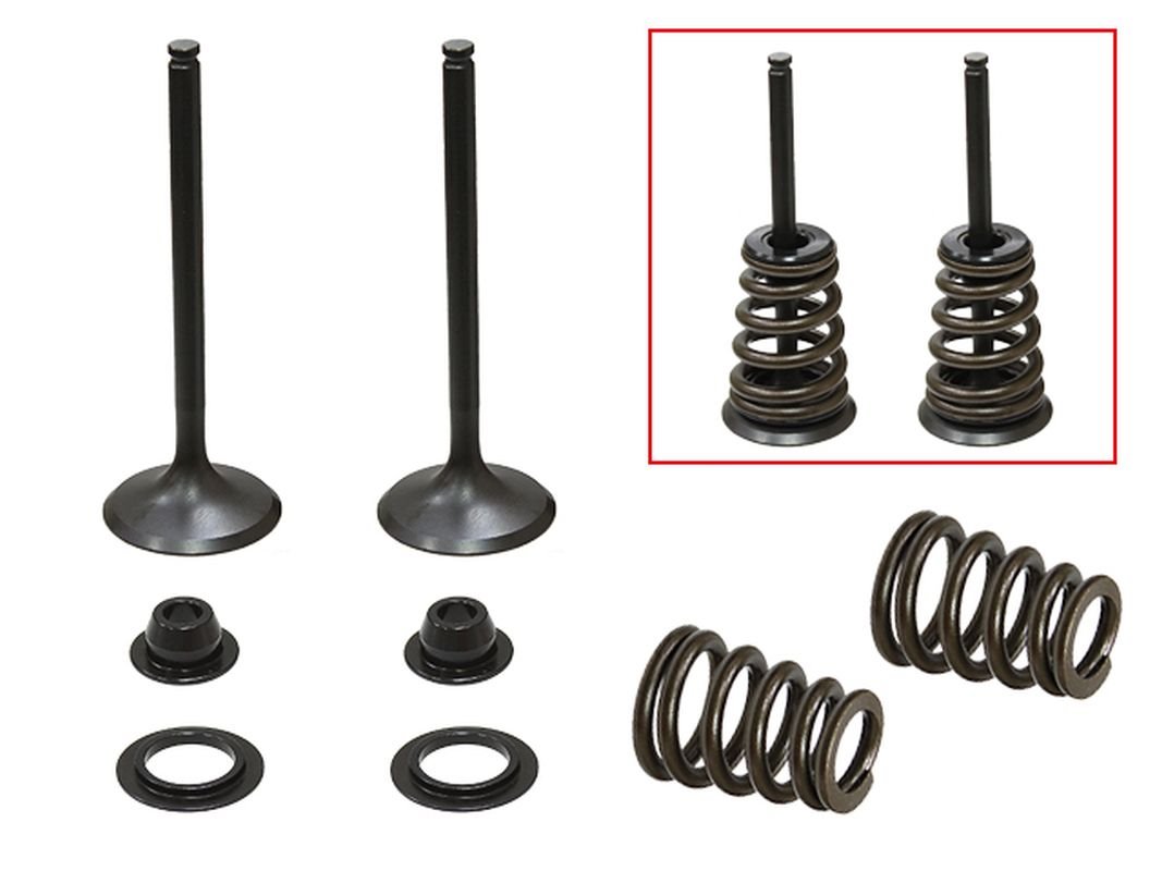 Zawory ssące (komplet 2 szt. zaworów ze sprężynami i podkładkami) Husaberg FE 450/550/650, FS 650, KTM SXS 450/540 Racing, EXC 450, SX 520/525 (MX-09549I) Psychic | XU-09549IK