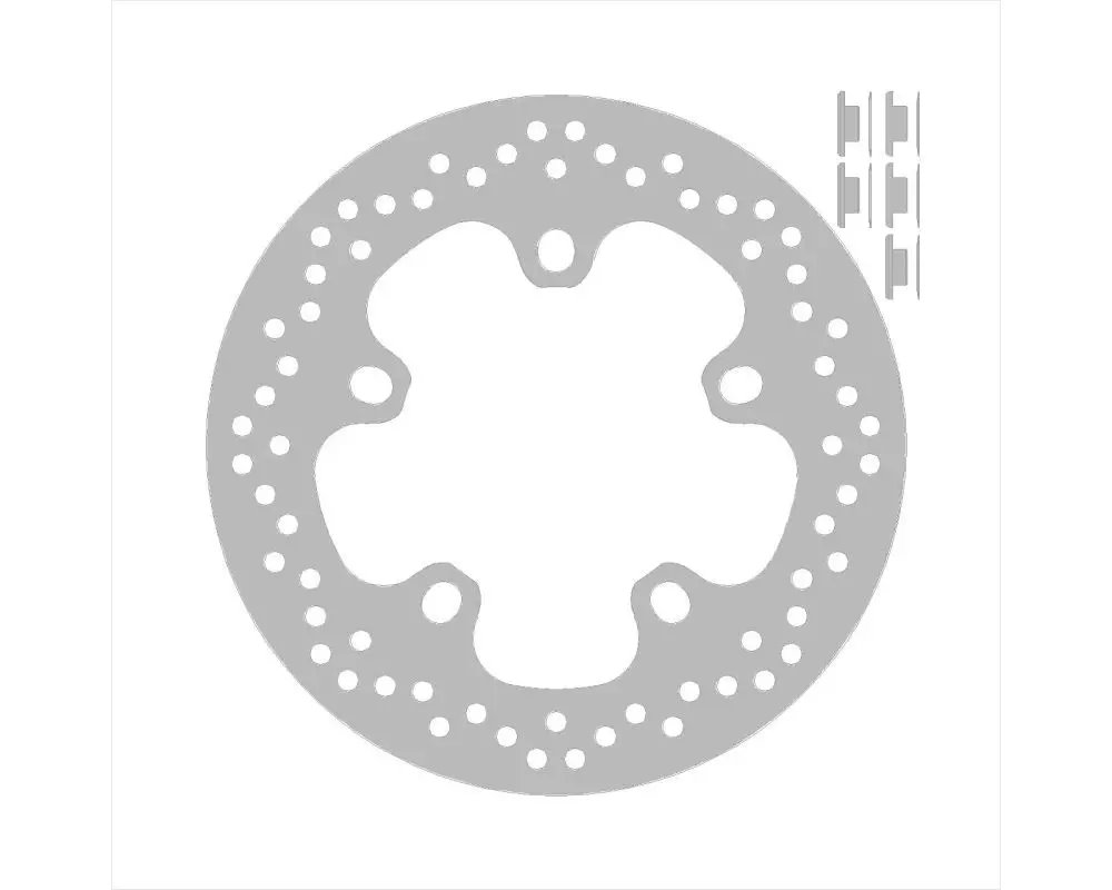 Tarcza hamulcowa tył Indian Standard FTR 1200 (260X117,4X5MM) (5X13,8X16,4MM) | NG2168