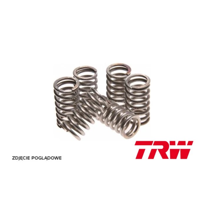 Sprężyny sprzęgłowe Yamaha YZF 600 R6 (EBS126) TRW | MEF157-6