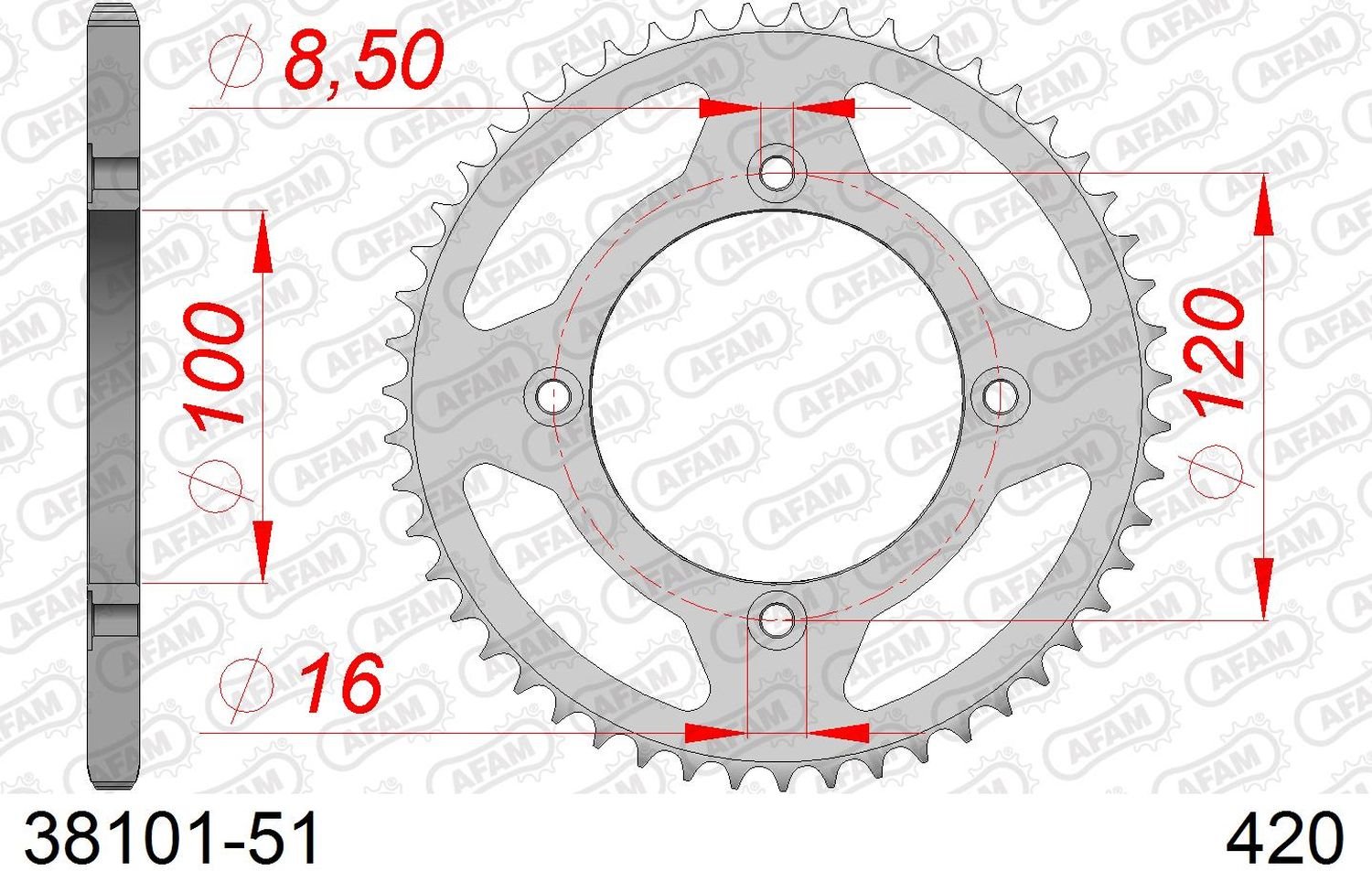 Zębatka tylna Beta 50 RR Enduro/Enduro Racing/Enduro Sport 51 (ŁAŃC. 420) AFAM | 38101-51