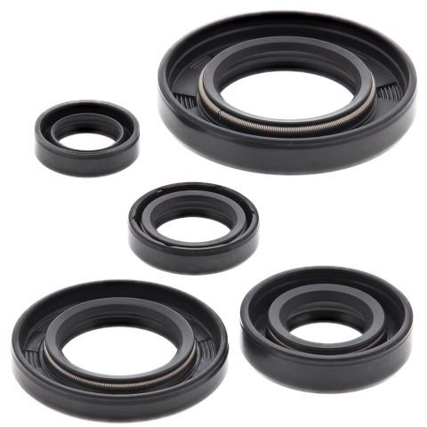 Komplet uszczelniaczy silnikowych Honda NX650 Dominator, XR650L Winderosa | 822165