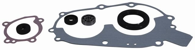Zestaw naprawczy pompy wody Polaris 400 Winderosa | 821808